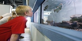 Photo of the Put-in-Bay Aquatic Center