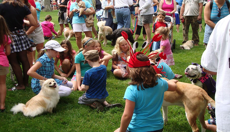 Photo of Put-in-Bay Pooch Parade